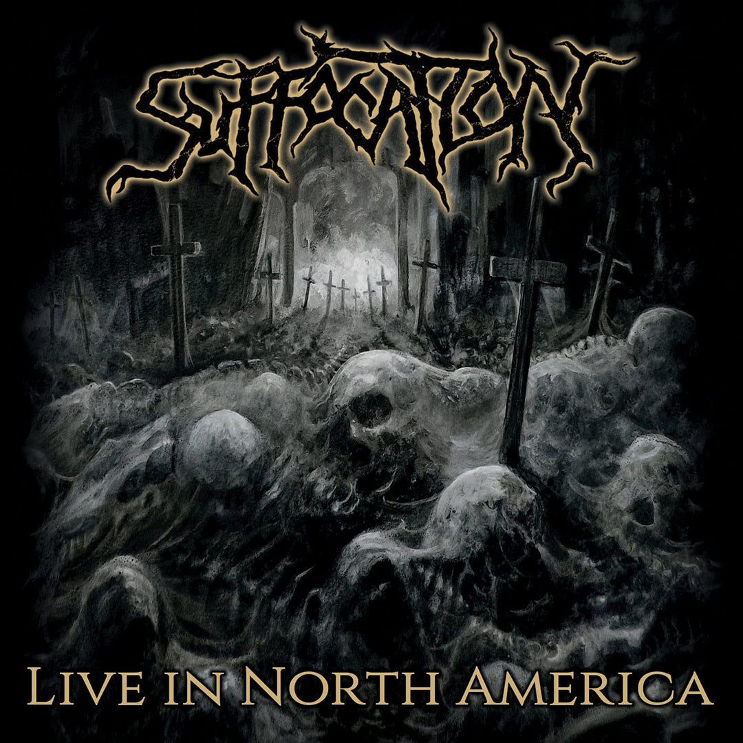 Live in North America (2lp/Gatefold) [Vinyl LP], Vinyl