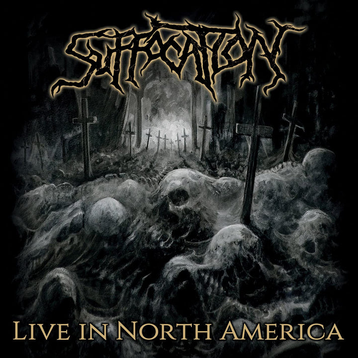 Live in North America (2lp/Gatefold) [Vinyl LP], Vinyl