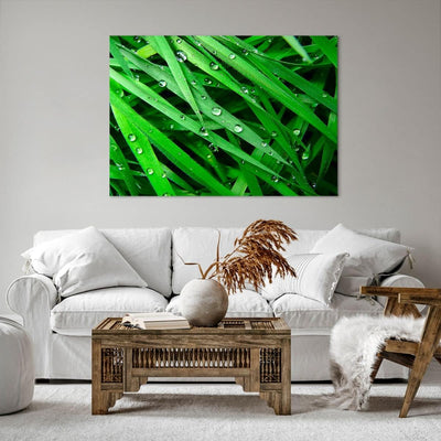 Bilder auf Leinwand 100x70cm Leinwandbild Natur Gras Wasser Tropfen Gross Wanddeko Bild Schlafzimmer