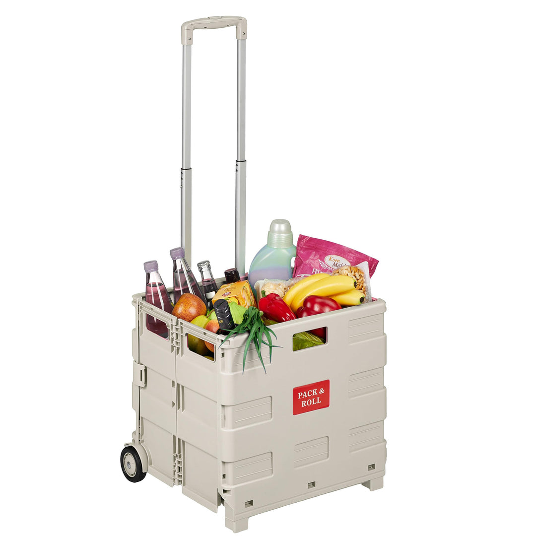 Relaxdays Einkaufstrolley, zusammenklappbar, Einkaufskorb mit Rollen, Teleskopgriff, bis 35 kg, Klap
