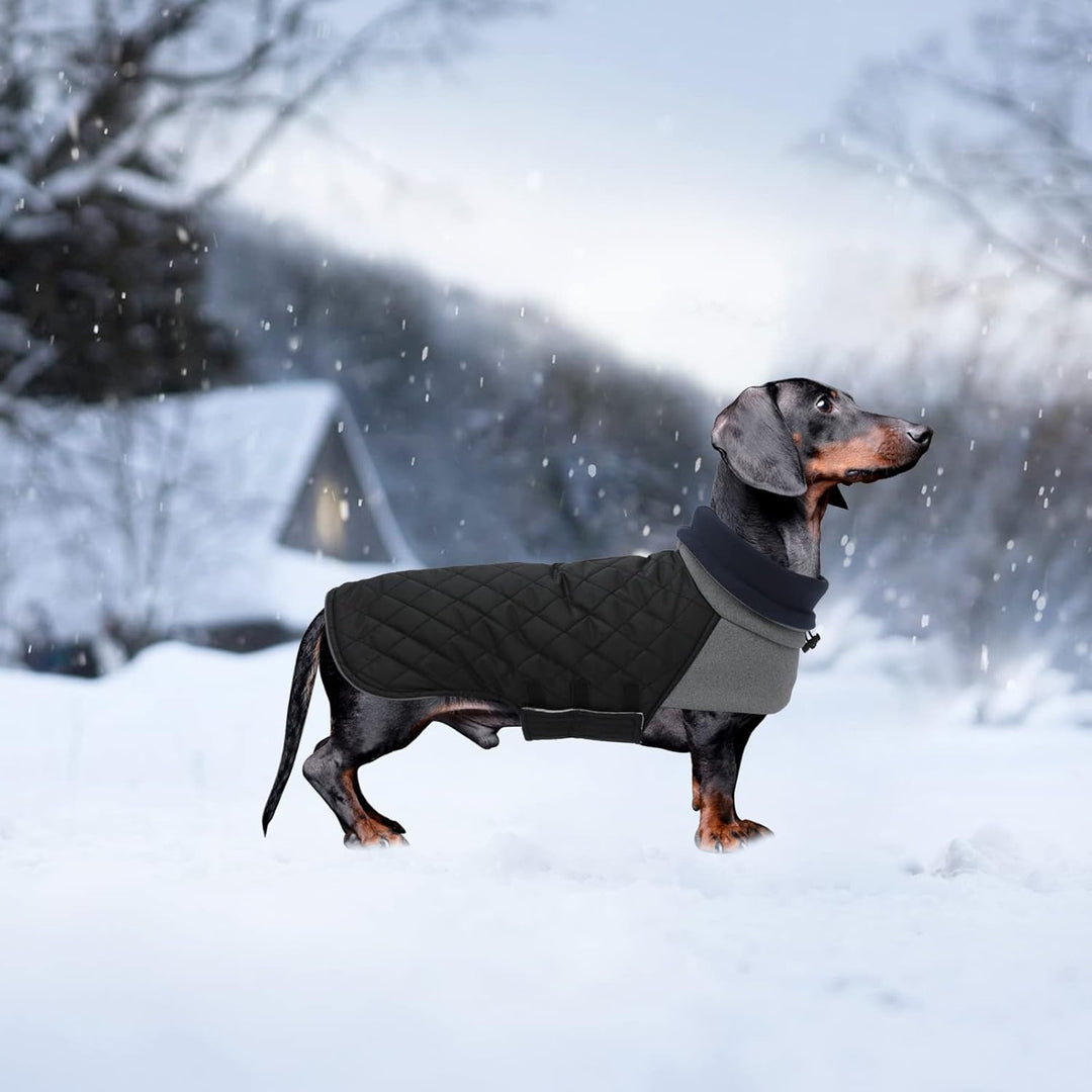Geyecete Hundemantel Dackel, Dackel Wintermantel, Warmer Quilten Dackelmantel mit Geschirr Loch,Wind
