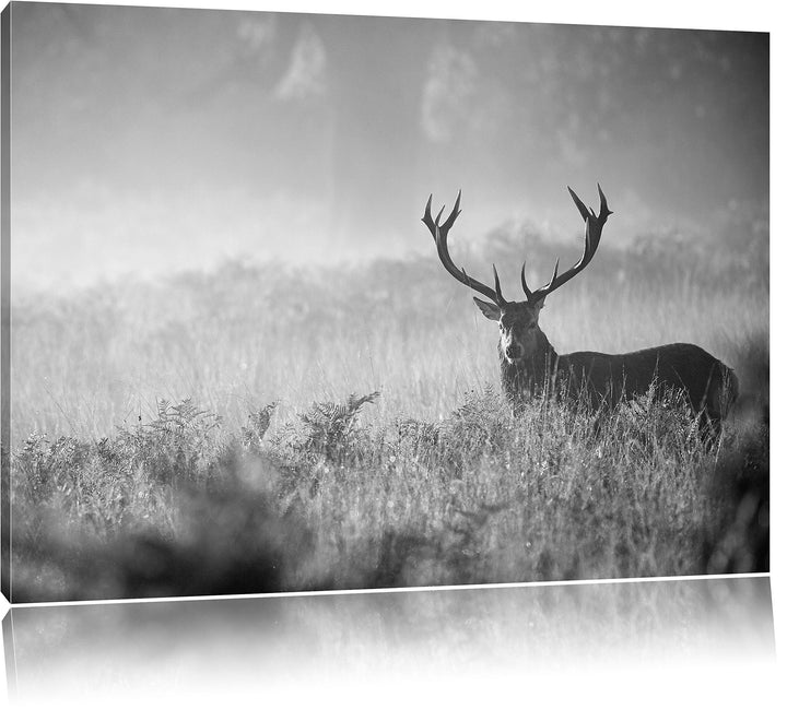 Pixxprint Rotwild Hirsch im Nebel Kunst B&W als Leinwandbild/Grösse: 100x70 cm/Wandbild/Kunstdruck/f