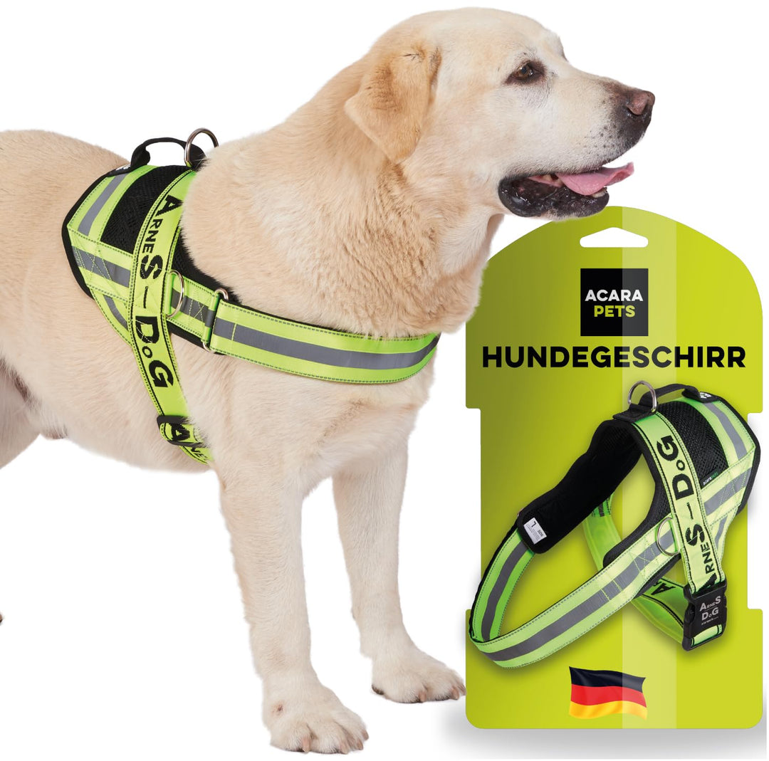 Hundegeschirr mit 3 Metallösen zur Befestigung Ihrer Brust oder Ihres Brustgurts, um Ihren Hals Nich