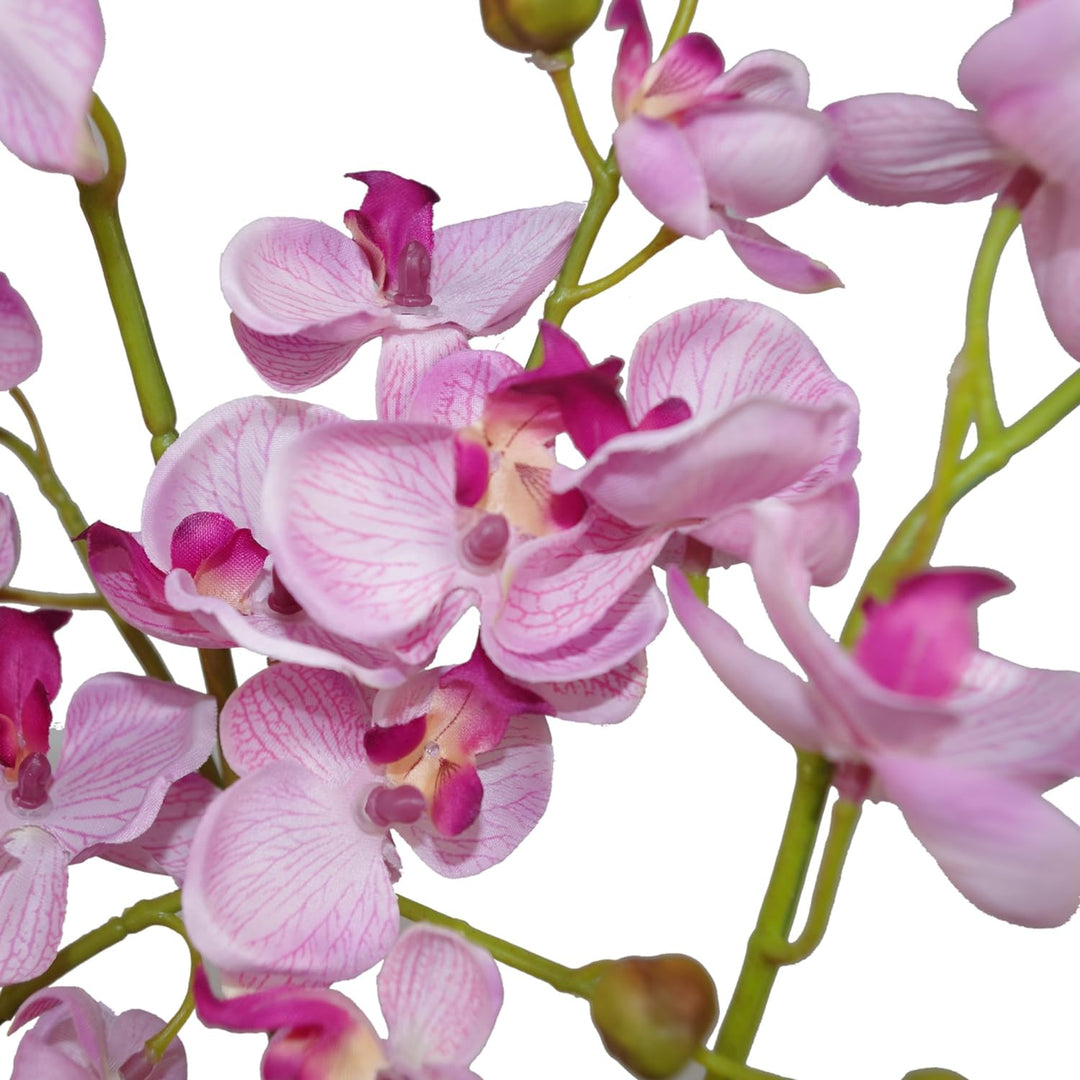 Leaf Kunstpflanze Orchideenblatt, realistisch, 60 cm, Rosa 60cm Pink, 60cm Pink