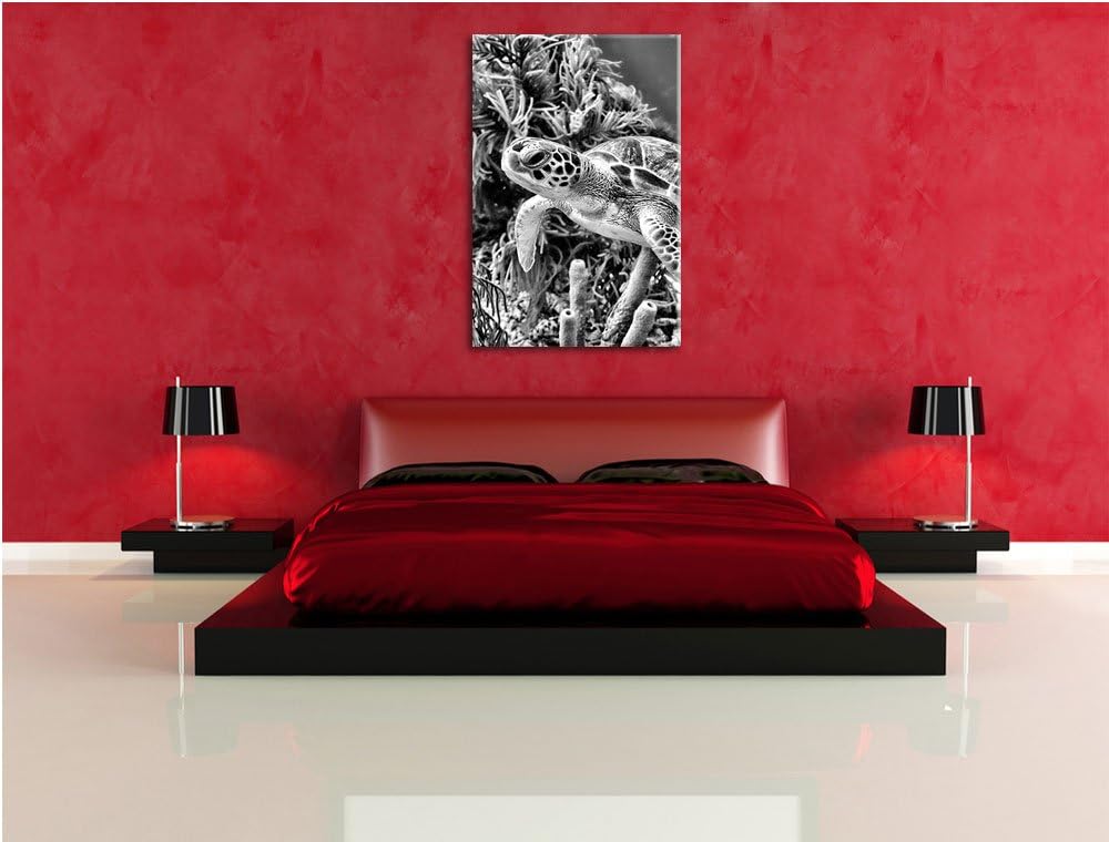 Pixxprint Monocrome, Meeresschildkröte, Format: 100x70 auf Leinwand, 100x70