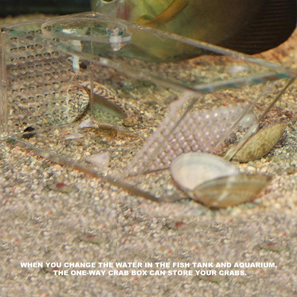 Asixxsix Aquarium, ungiftige Acryl-Fischfallen-Auffangbox, geschmacklos für Aquarium