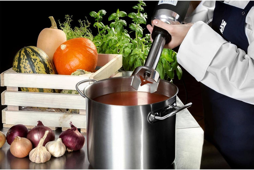 Royal Catering RCSM-350-250 Stabmixer Pürierstab Zauberstab (ergonomischer Griff, 350 W, 18.000 U/mi