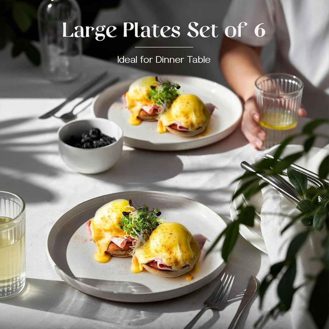 DOWAN Steingut Dinner Teller Set, 10 Inch Dessert Plates 6 Stück Tellerset Keramik, 26cm Serviertell