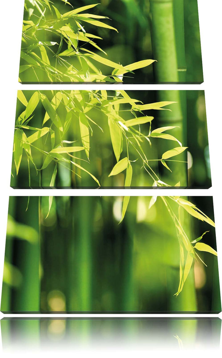 Pixxprint Grüner frischer Bambus mit Blättern 3-Teiler Leinwandbild 120x80 Bild auf Leinwand