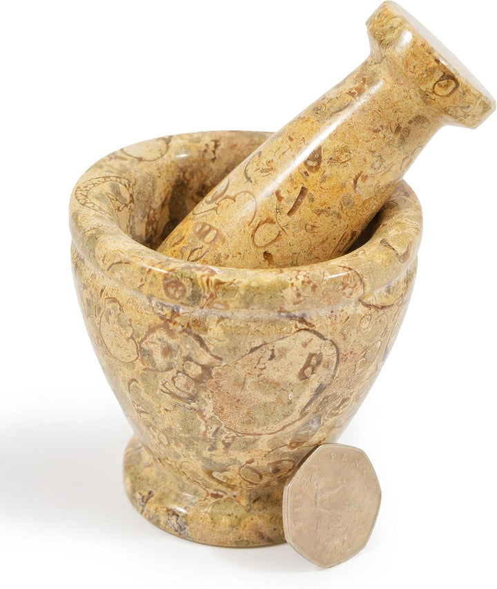 Mini Stössel und Mörser Fossiler Stein
