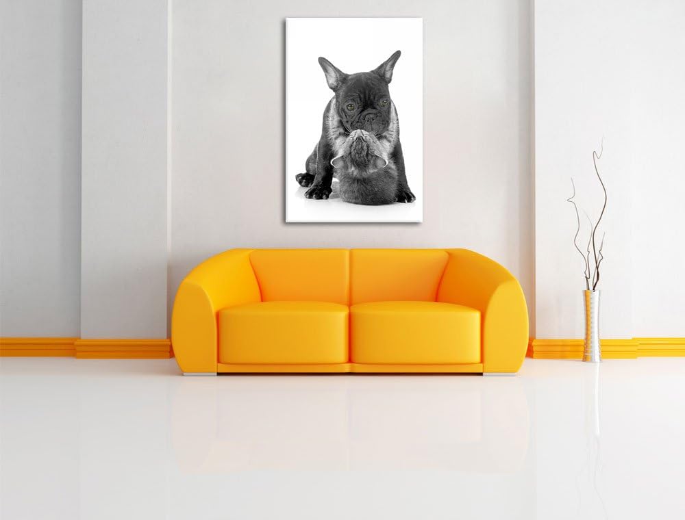 Katze hängt an Mops schwarz/weiss Format: 100x70 auf Leinwand, XXL riesige Bilder fertig gerahmt mit