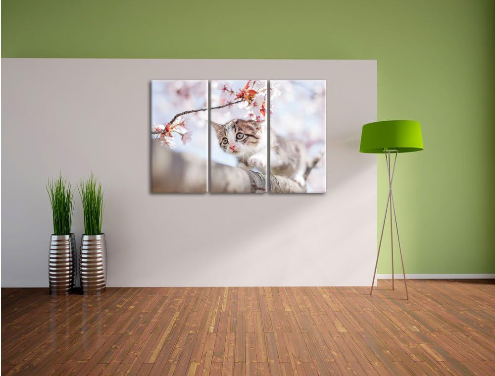 Pixxprint Süsses Kätzchen im Kirschbaum als Leinwandbild/Grösse: 3 Teilig (120x80) / Wandbild/Kunstd