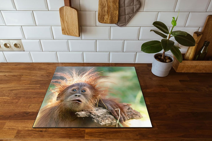 Lustiger Baby Orang-Utan mit Rinde Herdabdeckplatte & Spritzschutz aus Echtglas | Für Herd-Kochfelde