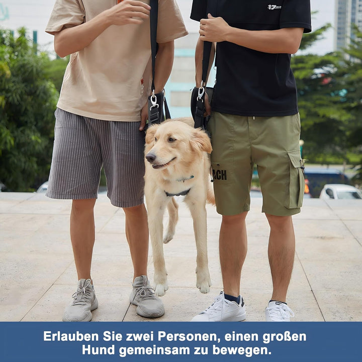 COODEO Hundetragegurt, Notfallrucksack Unterstützung für Rehabilitation Hundelift Geschirr, Hundeträ