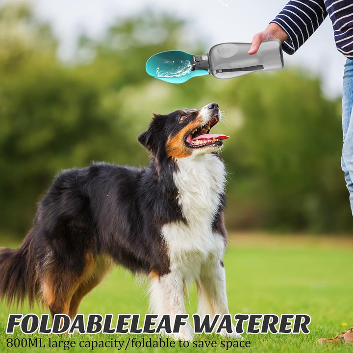 800ML Trinkflasche Hunde für Unterwegs, Hunde Trinkflasche to Go Wasserflasche für Unterwegs für Wan