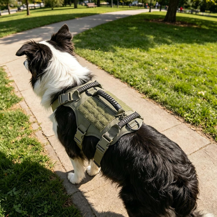 Taktisches Hundegeschirr Nylon reflektierend für grosse Hunde (Armeegrün) | Robustes Hundegeschirr A