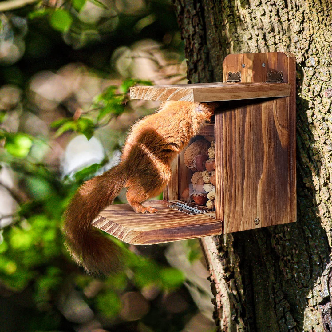 MIXXIDEA Holz-Eichhörnchen-Futterbox, stabiles Eichhörnchen-Futterhaus mit Dicke 1,5 cm, Holz, keine