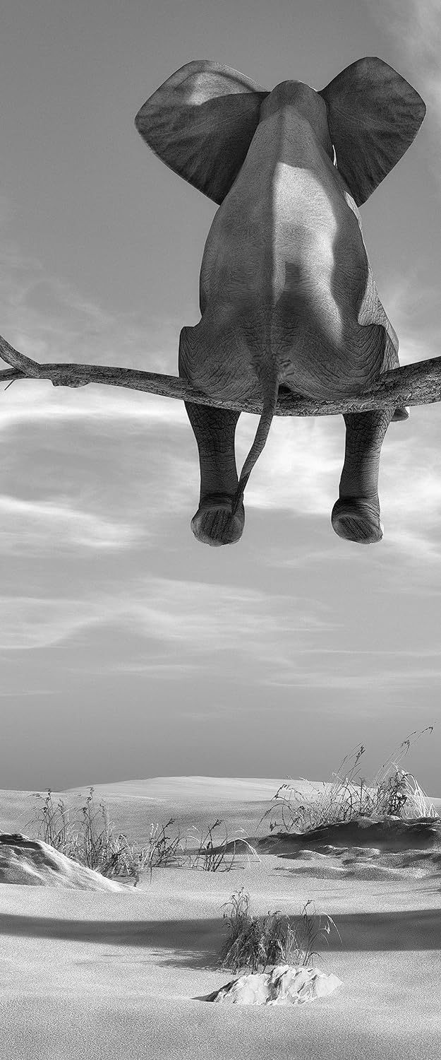 Glasbild Panorama | Wandbild aus Echtglas | Elefant auf einem Ast in der Wüste | 100x40 cm | inkl. A
