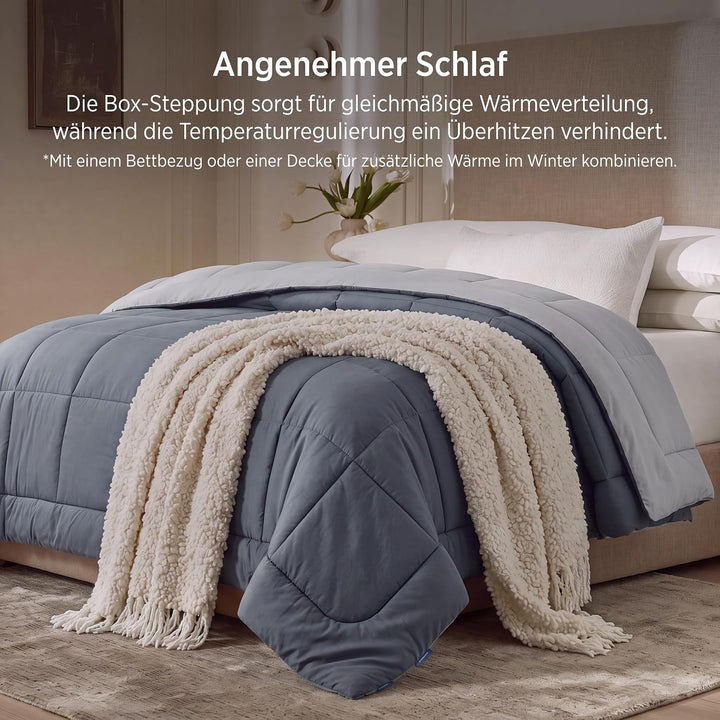 BEDSURE Bettdecke 200x200 Ganzjahresdecke Steppdecke - Bettdecke Ohne Bezug 200x200cm 300GSM - 4 Jah