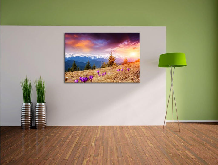 Krokusse auf Hochalmwiese in Alpen Format: 100x70 auf Leinwand, XXL riesige Bilder fertig gerahmt mi