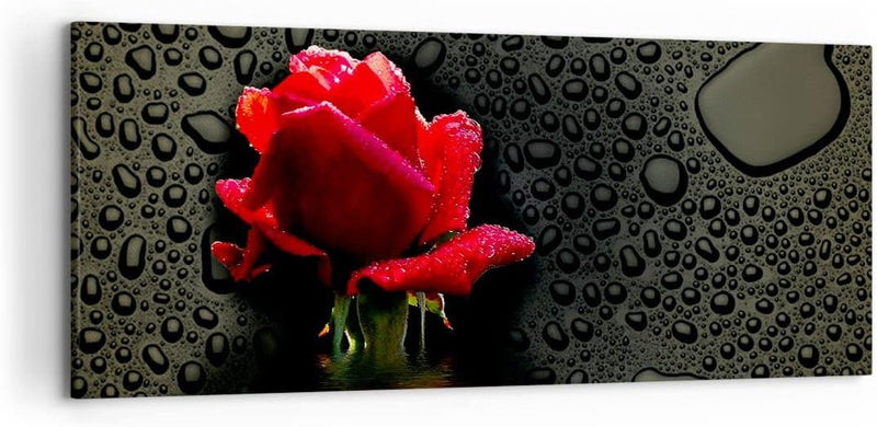 Wandbilder Dekoration Wohnzimmer Blume rote rose wasser tau Panorama Bilder auf Leinwand 120x50cm Le