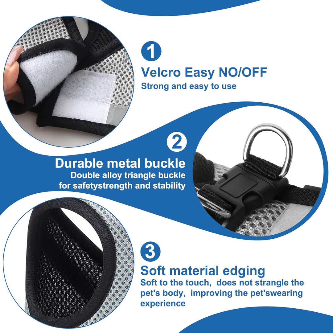 Katzen Geschirr Set mit Leine,Automatischem Katzengeschirr für Kleine Hunde mit 5 m/16,4 Fuss,Katzen