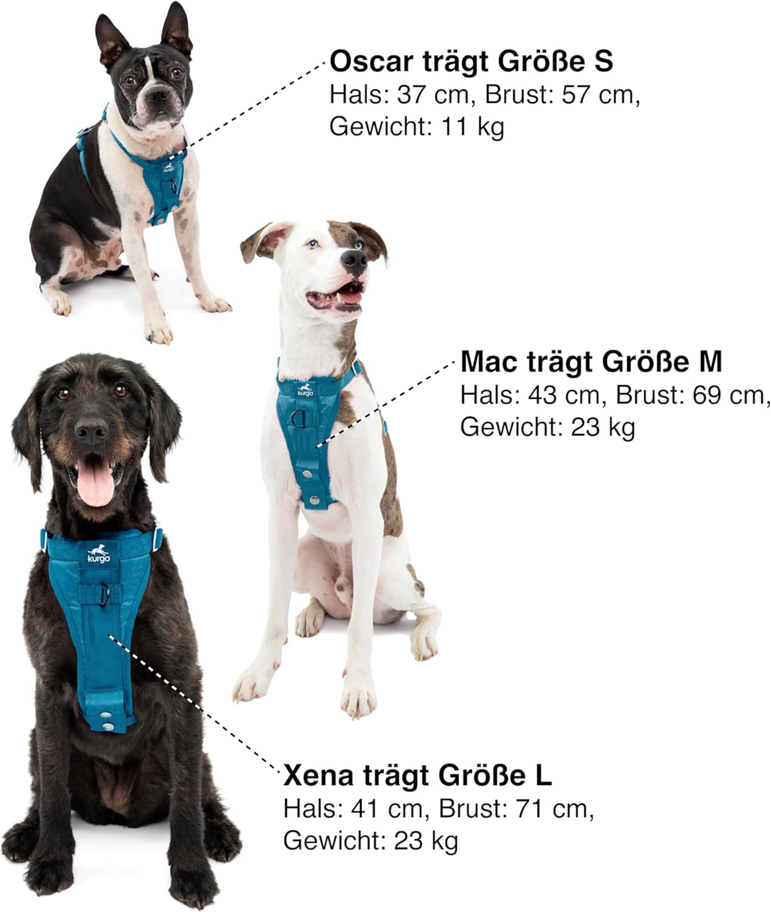 Kurgo Tru-Fit Hundegeschirr, Crash-Test-erprobtes Auto-Sicherheitsgurt, Für Hunde von 2 bis 5 kg, Gr