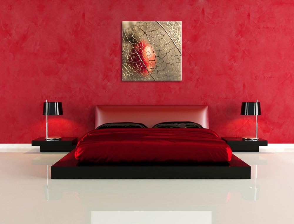 Pixxprint Rote Physalis, Format: 70x70 auf Leinwand, XXL riesige Bilder fertig gerahmt mit Keilrahme