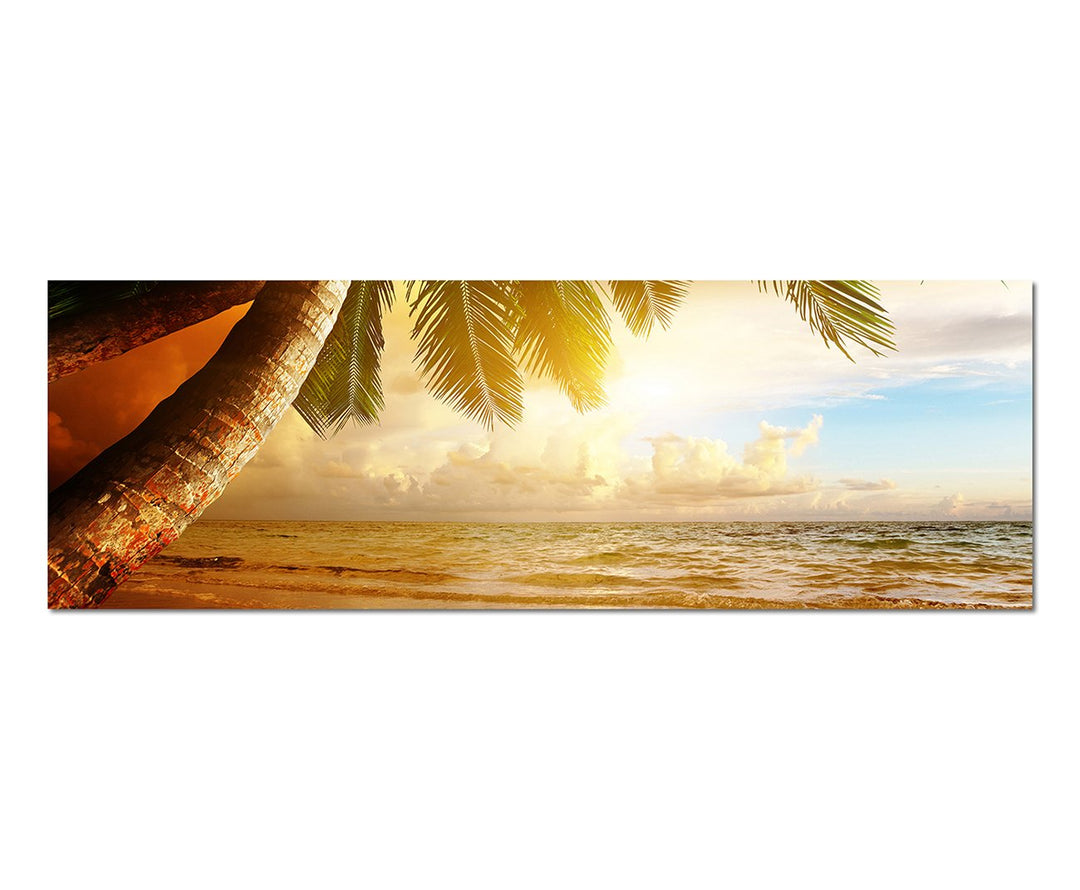 Paul Sinus Art Panoramabild auf Leinwand und Keilrahmen 150x50cm Karibik Strand Meer Palmen Sonnenau