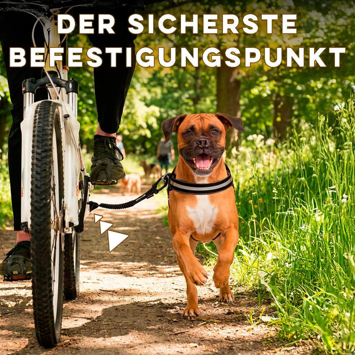 BIKE AND DOG - Hundeleine und Hundegeschirr für das Fahrrad, Geschirr mit 3 Ringen, Davon 2 seitlich
