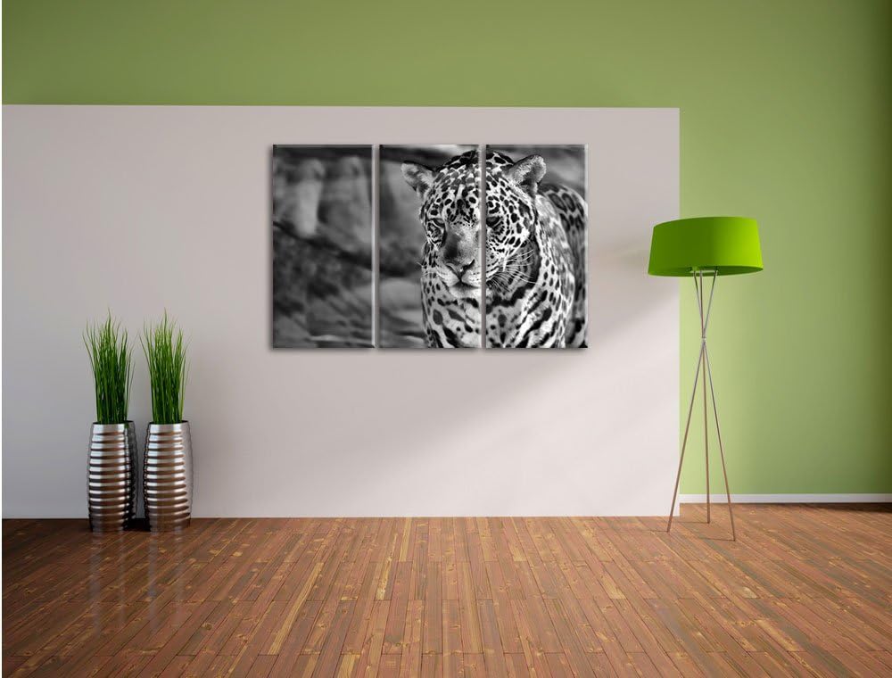 Pixxprint Leopard, Wüste, als Leinwandbild/Grösse: 3 Teilig (120x80) cm/Wandbild/Kunstdruck/fertig b
