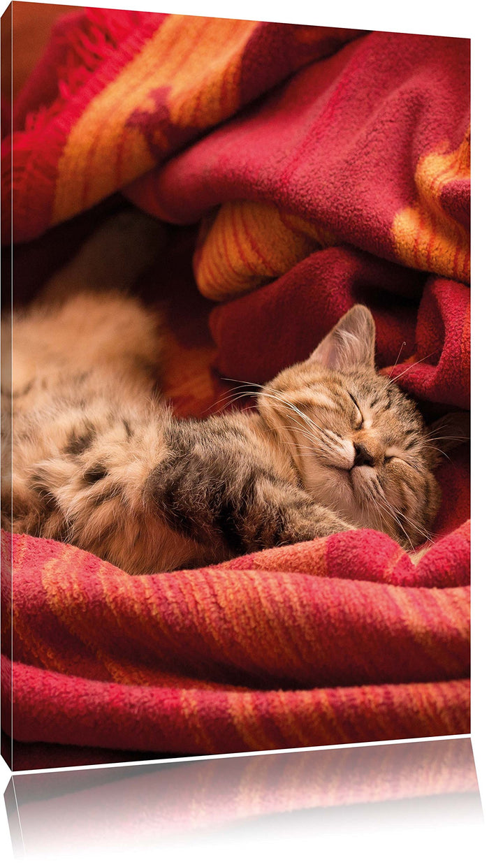 Pixxprint Babykatze, Format: 100x70 auf Leinwand, XXL riesige Bilder fertig gerahmt mit Keilrahmen,