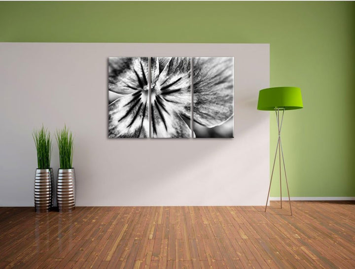 Pixxprint farbenfrohes Stiefmütterchen als Leinwandbild | Grösse: 3 Teilig (120x80) | Wandbild| Kuns