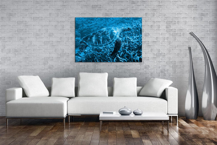 deyoli exotische Schildkröte im Ozean Format 80x60 Effekt: Monocrome Blau als Leinwandbild, Motiv fe