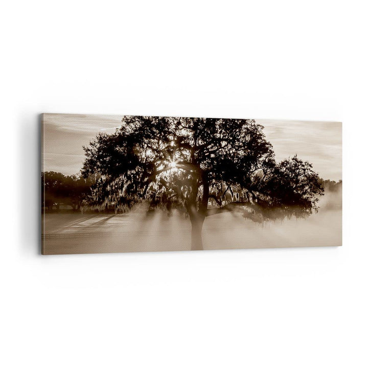Panorama Bilder auf Leinwand 100x40cm Leinwandbild mit Rahmen Baum Feld Natur Gross Wanddeko Bild Sc