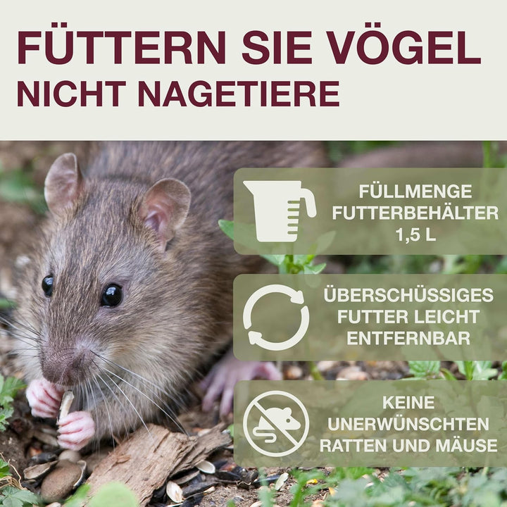 SWISSINNO Vogel-Futtersilo Davos SMART Birds. Füttern Sie Vögel - Nicht Nagetiere! Robust + Zuverläs