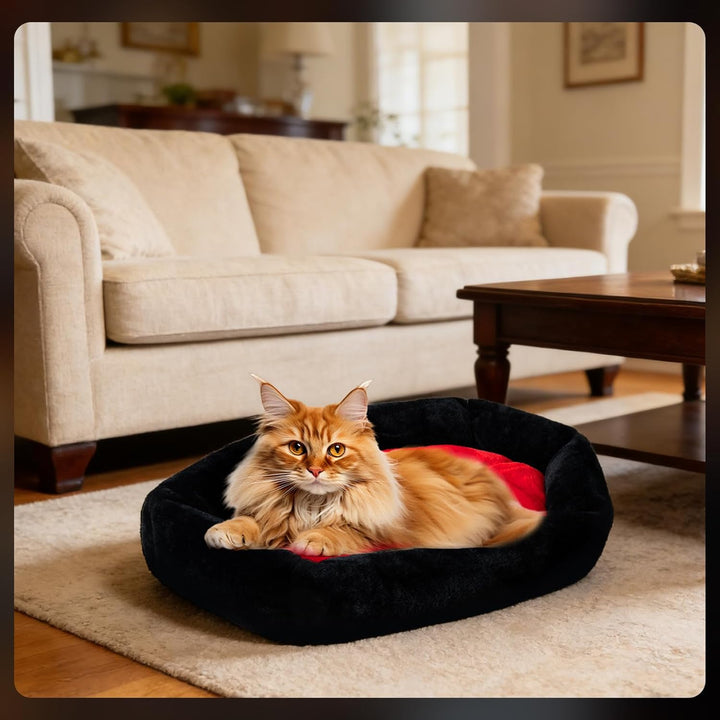 Fantasreen Gothic Katzenbett, waschbar, passend für Katzen bis zu 10kg – Sarg-Design, Gothic Haustie