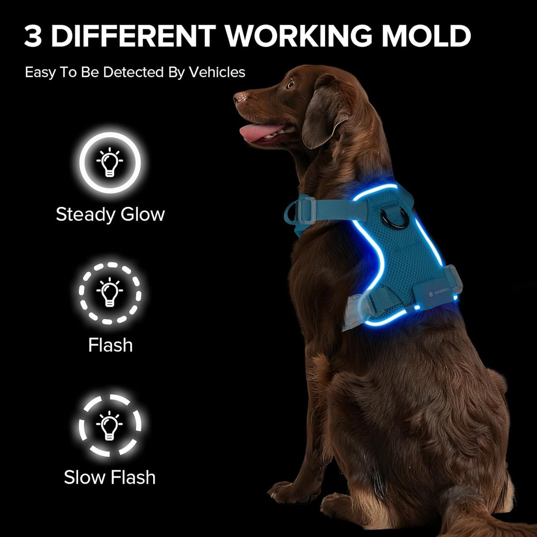MASBRILL Hundegeschirr Leuchtend, LED Hundegeschirr Aufladbar & Einstellbar für Welpen Kleiner Mittl
