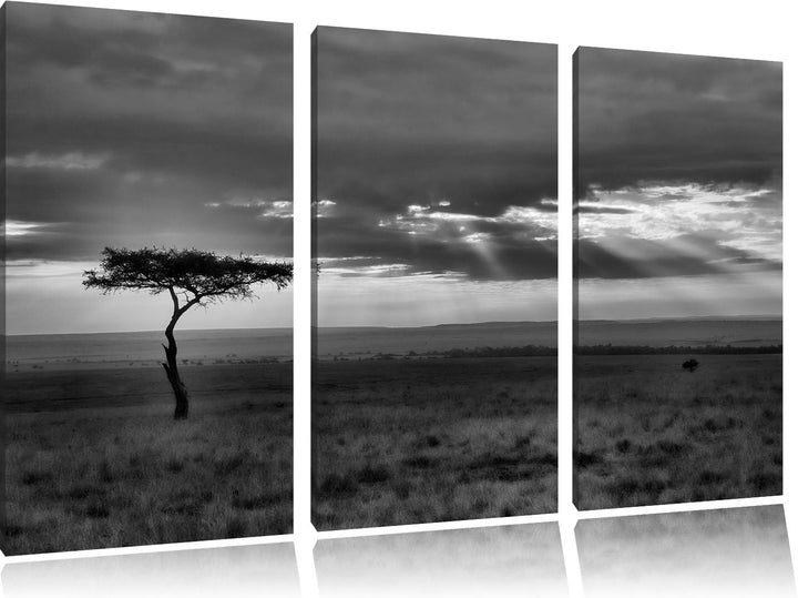 Pixxprint Monocrome, Sonneneinfall in die Savanne 3-Teiler Leinwandbild 120x80 Bild auf Leinwand