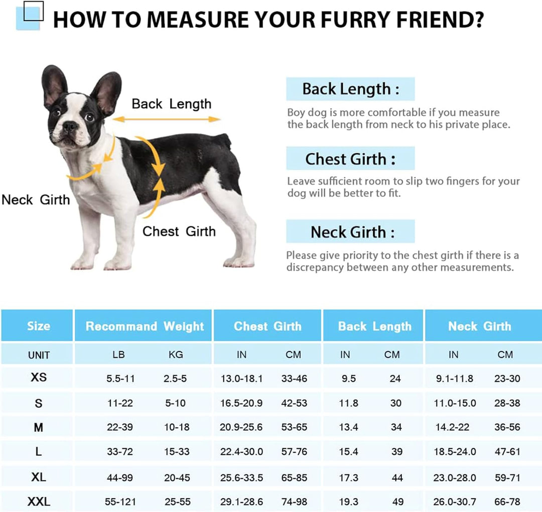 CITÉTOILE Schwimmweste Hunde Hai, Leicht und Sicher für Wassersport, hundeschwimmweste mit Griff und