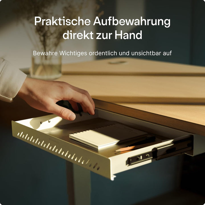 Desktronic Schreibtisch-Organizer, Untertisch-Aufbewahrungsbox, Schreibtisch für Büro Schule Homeoff