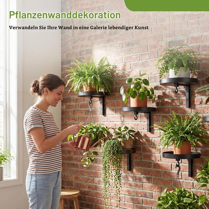 3 Stück Pflanzenhalter Wand Metall mit Haken, Platzsparend Pflanzen Wandhalterung, Hängendes Blument