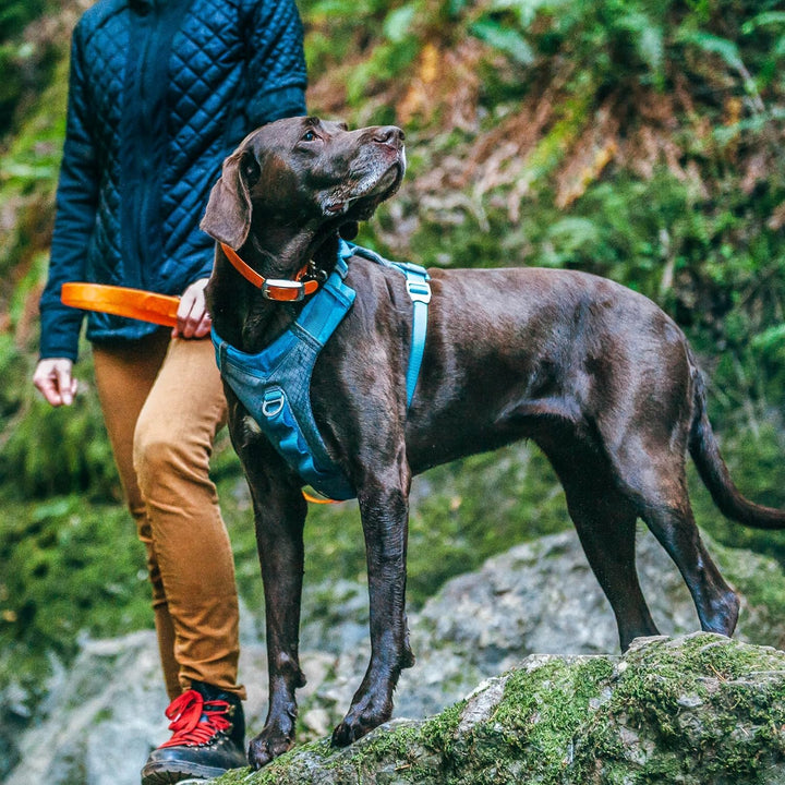 Kurgo Journey Air Hundegeschirr, Mit gepolstertem Brustteil und Rückgriff, Für Hunde von 34-47 kg, G