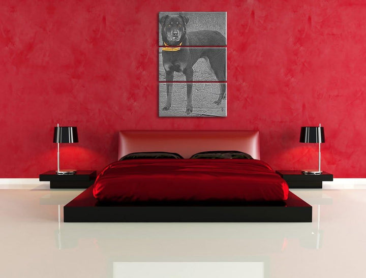 prächtiger grosser Rottweiler schwarz/weiss Deluxe 3-Teiler Leinwandbild 120x80 Bild auf Leinwand, X
