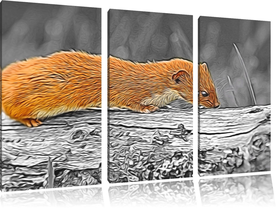 wildes kleines Frettchen schwarz/weiss Deluxe 3-Teiler Leinwandbild 120x80 Bild auf Leinwand, XXL ri