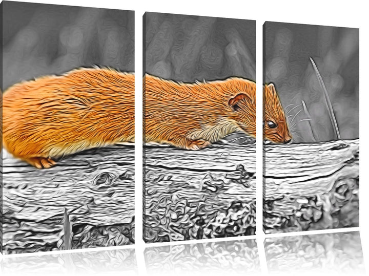 wildes kleines Frettchen schwarz/weiss Deluxe 3-Teiler Leinwandbild 120x80 Bild auf Leinwand, XXL ri