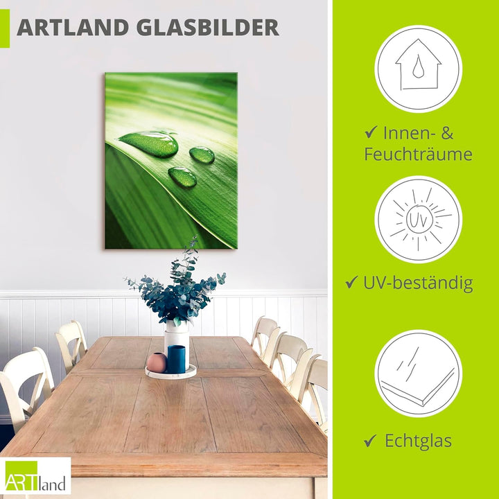 ARTland Glasbilder Wandbild Glas Bild einteilig 45x60 cm Hochformat Natur Pflanzen Blätter Wassertro