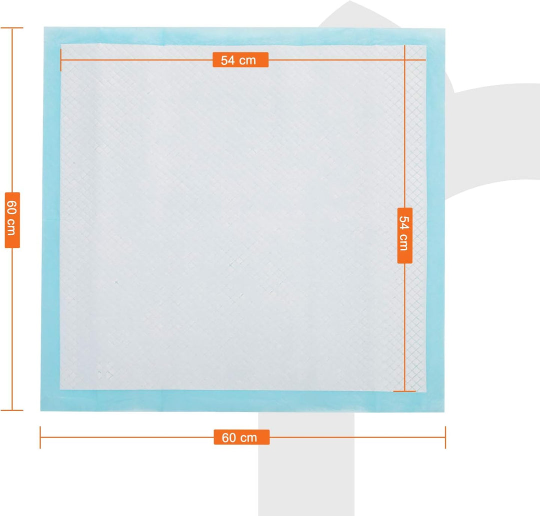 Feandrea Puppy Pads, Welpen-Unterlage, 60 x 60 cm, 100 Stück, blau-weiss PTD60B M (60 x 60 cm), M (6