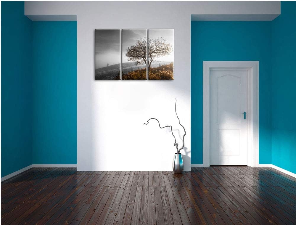 Einsamer Baum auf Berg schwarz/weiss 3-Teiler Leinwandbild 120x80 Bild auf Leinwand, XXL riesige Bil
