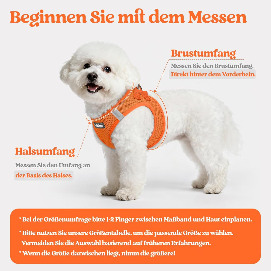 rabbitgoo Hundegeschirr Kleine Hunde mit Leine, Step-in Welpengeschirr Weich Mesh für Spaziergänge,
